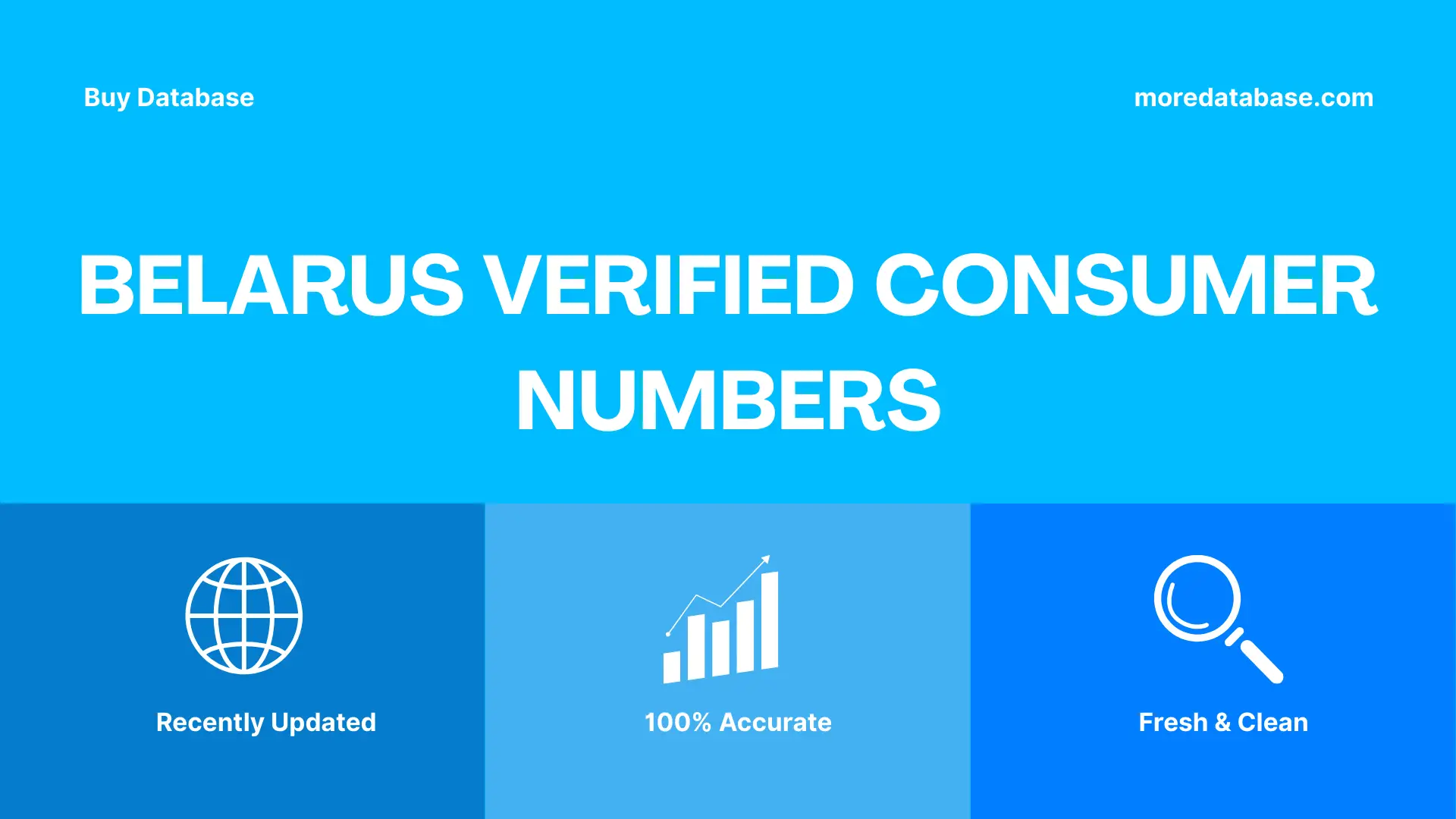 Belarus Verified Consumer Numbers